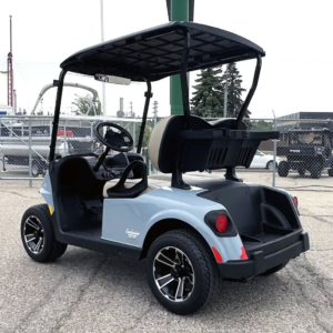 Alternative view of 2025 E‑Z‑GO Freedom RXV ELiTE Lithium